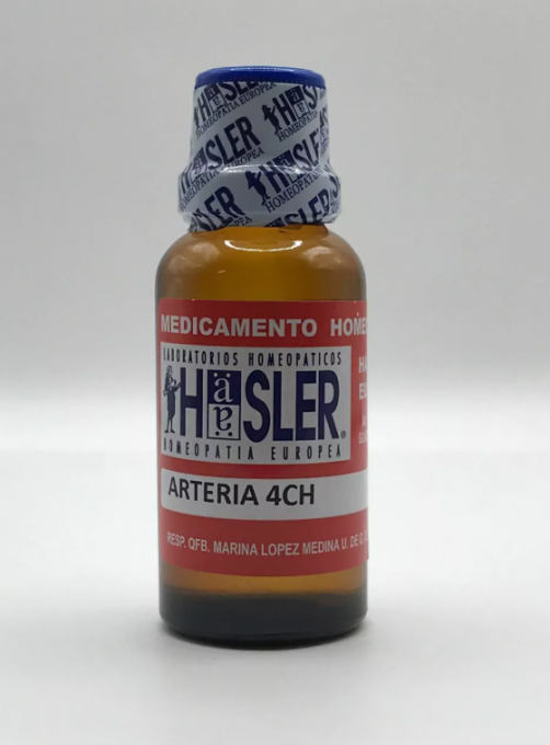 ARTERIA 4CH